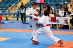 33º Campeonato Brasileiro de Karate-do Goju-ryu IKGA