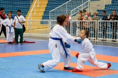 33º Campeonato Brasileiro de Karate-do Goju-ryu IKGA