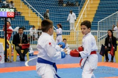 33º Campeonato Brasileiro de Karate-do Goju-ryu IKGA