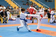 33º Campeonato Brasileiro de Karate-do Goju-ryu IKGA