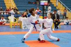 33º Campeonato Brasileiro de Karate-do Goju-ryu IKGA