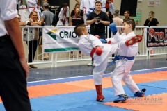 33º Campeonato Brasileiro de Karate-do Goju-ryu IKGA