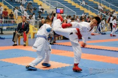 33º Campeonato Brasileiro de Karate-do Goju-ryu IKGA