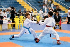 33º Campeonato Brasileiro de Karate-do Goju-ryu IKGA