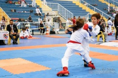 33º Campeonato Brasileiro de Karate-do Goju-ryu IKGA