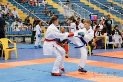 33º Campeonato Brasileiro de Karate-do Goju-ryu IKGA