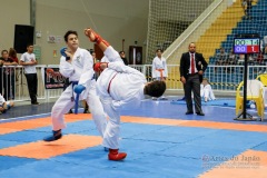 33º Campeonato Brasileiro de Karate-do Goju-ryu IKGA