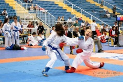 33º Campeonato Brasileiro de Karate-do Goju-ryu IKGA