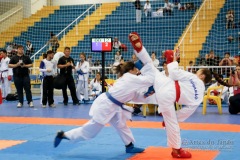 33º Campeonato Brasileiro de Karate-do Goju-ryu IKGA