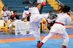 33º Campeonato Brasileiro de Karate-do Goju-ryu IKGA