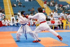 33º Campeonato Brasileiro de Karate-do Goju-ryu IKGA