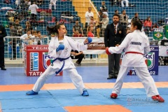 33º Campeonato Brasileiro de Karate-do Goju-ryu IKGA