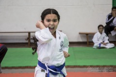 34º Campeonato Brasileiro de Karate-do Goju-ryu IKGA-Brasil