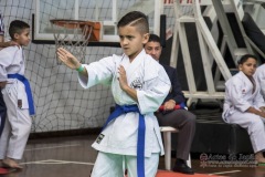 34º Campeonato Brasileiro de Karate-do Goju-ryu IKGA-Brasil