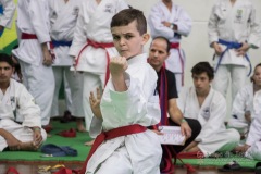 34º Campeonato Brasileiro de Karate-do Goju-ryu IKGA-Brasil