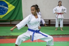 34º Campeonato Brasileiro de Karate-do Goju-ryu IKGA-Brasil