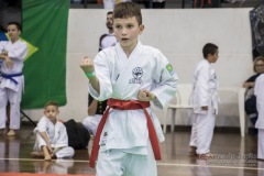 34º Campeonato Brasileiro de Karate-do Goju-ryu IKGA-Brasil