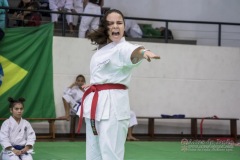 34º Campeonato Brasileiro de Karate-do Goju-ryu IKGA-Brasil