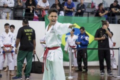 34º Campeonato Brasileiro de Karate-do Goju-ryu IKGA-Brasil