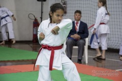 34º Campeonato Brasileiro de Karate-do Goju-ryu IKGA-Brasil