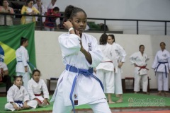 34º Campeonato Brasileiro de Karate-do Goju-ryu IKGA-Brasil