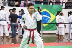 34º Campeonato Brasileiro de Karate-do Goju-ryu IKGA-Brasil