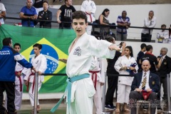 34º Campeonato Brasileiro de Karate-do Goju-ryu IKGA-Brasil