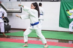 34º Campeonato Brasileiro de Karate-do Goju-ryu IKGA-Brasil