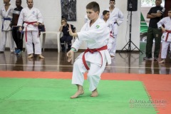 34º Campeonato Brasileiro de Karate-do Goju-ryu IKGA-Brasil