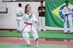 34º Campeonato Brasileiro de Karate-do Goju-ryu IKGA-Brasil