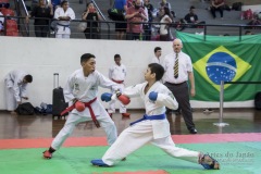34º Campeonato Brasileiro de Karate-do Goju-ryu IKGA-Brasil