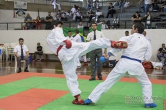 34º Campeonato Brasileiro de Karate-do Goju-ryu IKGA-Brasil