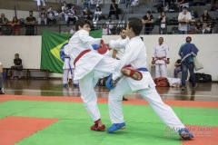 34º Campeonato Brasileiro de Karate-do Goju-ryu IKGA-Brasil