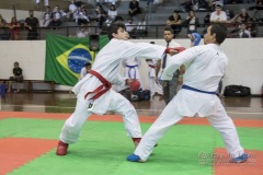 34º Campeonato Brasileiro de Karate-do Goju-ryu IKGA-Brasil