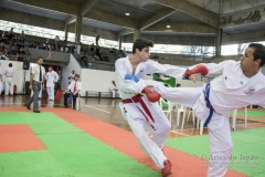 34º Campeonato Brasileiro de Karate-do Goju-ryu IKGA-Brasil