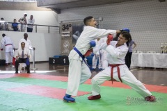 34º Campeonato Brasileiro de Karate-do Goju-ryu IKGA-Brasil