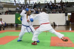 34º Campeonato Brasileiro de Karate-do Goju-ryu IKGA-Brasil