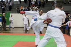 34º Campeonato Brasileiro de Karate-do Goju-ryu IKGA-Brasil