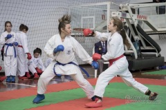 34º Campeonato Brasileiro de Karate-do Goju-ryu IKGA-Brasil