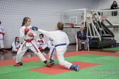 34º Campeonato Brasileiro de Karate-do Goju-ryu IKGA-Brasil