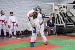 34º Campeonato Brasileiro de Karate-do Goju-ryu IKGA-Brasil