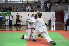 34º Campeonato Brasileiro de Karate-do Goju-ryu IKGA-Brasil