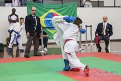 34º Campeonato Brasileiro de Karate-do Goju-ryu IKGA-Brasil