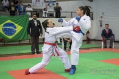 34º Campeonato Brasileiro de Karate-do Goju-ryu IKGA-Brasil