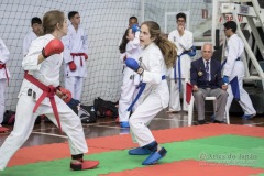 34º Campeonato Brasileiro de Karate-do Goju-ryu IKGA-Brasil