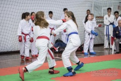 34º Campeonato Brasileiro de Karate-do Goju-ryu IKGA-Brasil