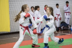 34º Campeonato Brasileiro de Karate-do Goju-ryu IKGA-Brasil