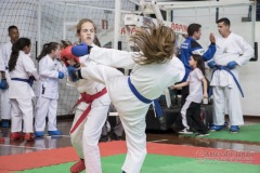 34º Campeonato Brasileiro de Karate-do Goju-ryu IKGA-Brasil