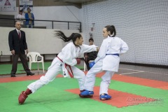 34º Campeonato Brasileiro de Karate-do Goju-ryu IKGA-Brasil