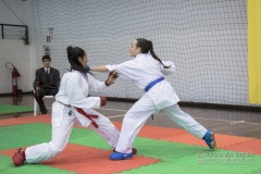 34º Campeonato Brasileiro de Karate-do Goju-ryu IKGA-Brasil